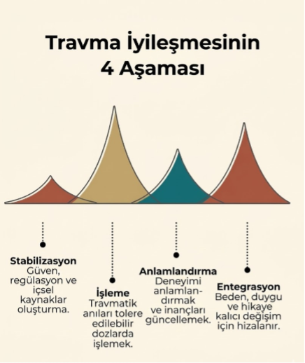 Travma iyileşmesinin 4 aşaması infografiği